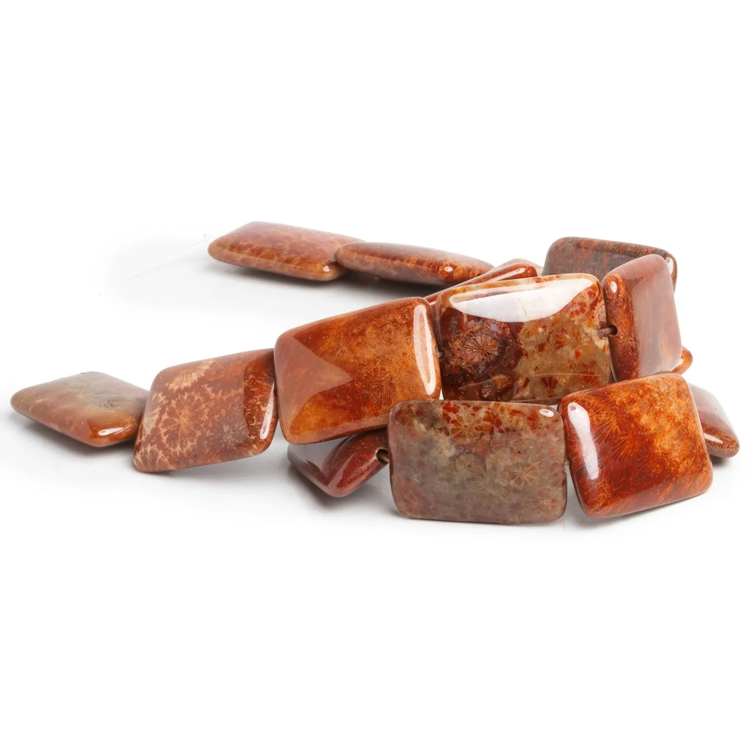 24x18mm Fossil Coral Plain Rectangles 15 inch 15 beads